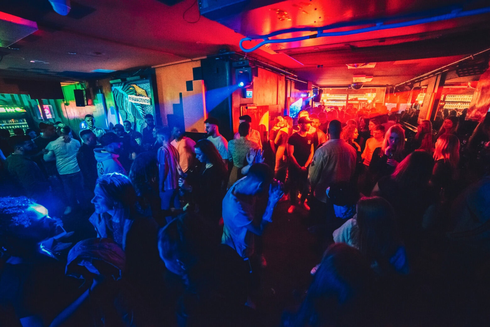 copyright Toni Barac