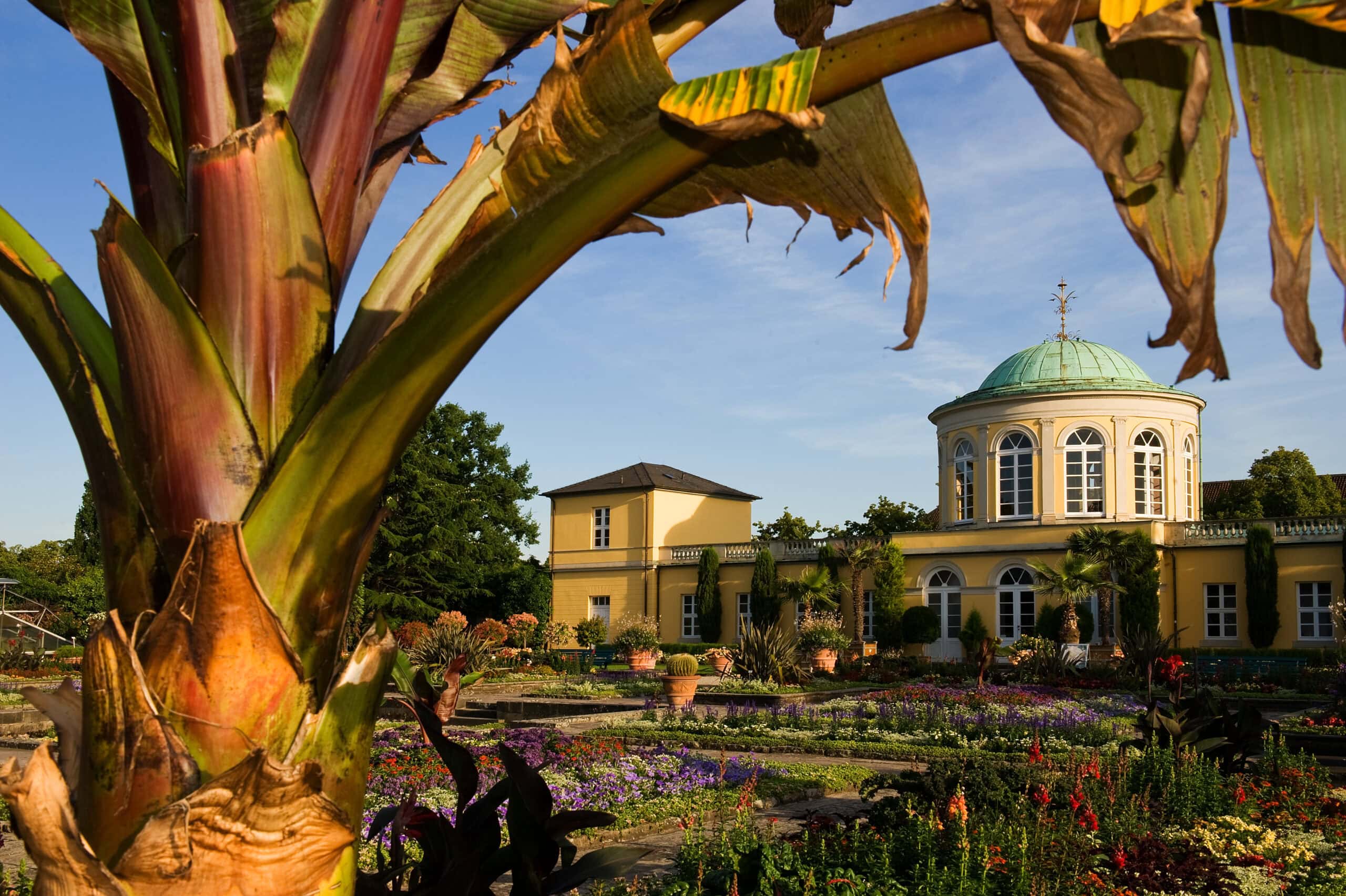 Dumont Hannover Kap.1